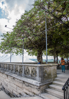 Filename=DSC_1443.jpg
Filesize=27450KiB
Dimensions=4901x7005
Date added=Sep 20, 2019 DSC_1443.jpg