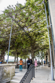 Filename=DSC_1444.jpg
Filesize=30524KiB
Dimensions=4675x7005
Date added=Sep 20, 2019 DSC_1444.jpg