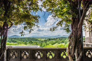 Filename=DSC_1445.jpg
Filesize=42062KiB
Dimensions=7293x4867
Date added=Sep 20, 2019 DSC_1445.jpg