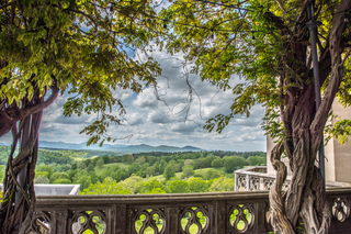 Filename=DSC_1446.jpg
Filesize=39070KiB
Dimensions=7096x4736
Date added=Sep 20, 2019 DSC_1446.jpg