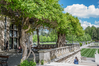 Filename=DSC_1454.jpg
Filesize=27191KiB
Dimensions=7063x4714
Date added=Sep 20, 2019 DSC_1454.jpg