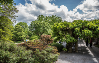 Filename=DSC_1456.jpg
Filesize=34594KiB
Dimensions=7360x4717
Date added=Sep 20, 2019 DSC_1456.jpg