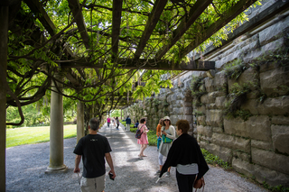 Filename=DSC_1457.jpg
Filesize=26171KiB
Dimensions=7164x4781
Date added=Sep 20, 2019 DSC_1457.jpg