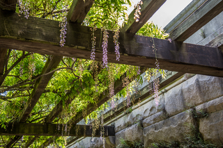 Filename=DSC_1458.jpg
Filesize=23194KiB
Dimensions=6700x4472
Date added=Sep 20, 2019 DSC_1458.jpg