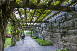 Filename=DSC_1460.jpg
Filesize=24361KiB
Dimensions=6810x4545
Date added=Sep 20, 2019 DSC_1460.jpg