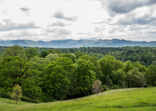 Filename=DSC_1461.jpg
Filesize=26841KiB
Dimensions=6860x4912
Date added=Sep 20, 2019 DSC_1461.jpg