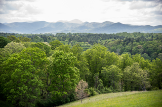 Filename=DSC_1462.jpg
Filesize=26410KiB
Dimensions=7360x4912
Date added=Sep 20, 2019 DSC_1462.jpg