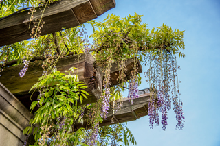 Filename=DSC_1463.jpg
Filesize=22944KiB
Dimensions=6903x4607
Date added=Sep 20, 2019 DSC_1463.jpg