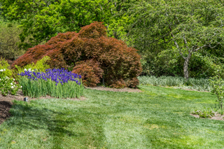 Filename=DSC_1469.jpg
Filesize=32096KiB
Dimensions=6603x4407
Date added=Sep 20, 2019 DSC_1469.jpg