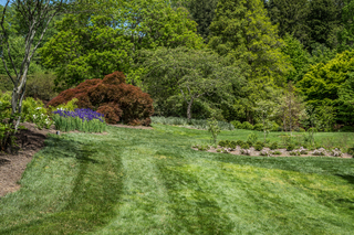 Filename=DSC_1470.jpg
Filesize=39035KiB
Dimensions=6700x4472
Date added=Sep 20, 2019 DSC_1470.jpg