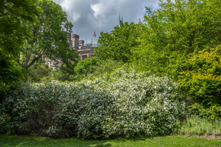 Filename=DSC_1471.jpg
Filesize=34315KiB
Dimensions=7360x4912
Date added=Sep 20, 2019 DSC_1471.jpg