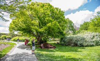 Filename=DSC_1472.jpg
Filesize=40182KiB
Dimensions=7360x4559
Date added=Sep 20, 2019 DSC_1472.jpg