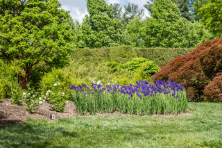 Filename=DSC_1473.jpg
Filesize=26956KiB
Dimensions=6700x4472
Date added=Sep 20, 2019 DSC_1473.jpg