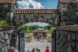 Filename=DSC_1475.jpg
Filesize=24378KiB
Dimensions=7223x4766
Date added=Sep 20, 2019 DSC_1475.jpg