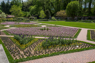 Filename=DSC_1479.jpg
Filesize=34773KiB
Dimensions=6903x4607
Date added=Sep 20, 2019 DSC_1479.jpg