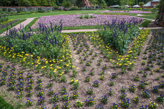 Filename=DSC_1480.jpg
Filesize=37260KiB
Dimensions=7009x4678
Date added=Sep 20, 2019 DSC_1480.jpg