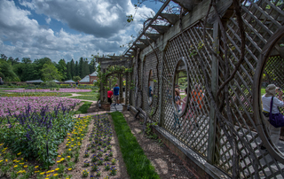 Filename=DSC_1481.jpg
Filesize=27176KiB
Dimensions=7360x4668
Date added=Sep 20, 2019 DSC_1481.jpg