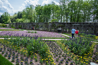 Filename=DSC_1482.jpg
Filesize=36020KiB
Dimensions=6903x4607
Date added=Sep 20, 2019 DSC_1482.jpg