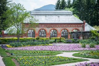 Filename=DSC_1484.jpg
Filesize=25296KiB
Dimensions=7239x4831
Date added=Sep 20, 2019 DSC_1484.jpg