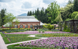 Filename=DSC_1485.jpg
Filesize=28687KiB
Dimensions=7360x4601
Date added=Sep 20, 2019 DSC_1485.jpg