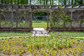 Filename=DSC_1488.jpg
Filesize=28492KiB
Dimensions=7239x4831
Date added=Sep 20, 2019 DSC_1488.jpg