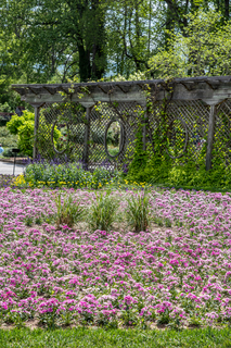 Filename=DSC_1489.jpg
Filesize=30543KiB
Dimensions=4678x7009
Date added=Sep 20, 2019 DSC_1489.jpg