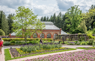 Filename=DSC_1490.jpg
Filesize=34507KiB
Dimensions=7360x4729
Date added=Sep 20, 2019 DSC_1490.jpg