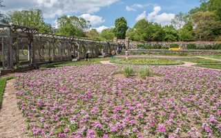 Filename=DSC_1492.jpg
Filesize=36518KiB
Dimensions=6982x4400
Date added=Sep 20, 2019 DSC_1492.jpg