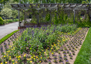 Filename=DSC_1493.jpg
Filesize=39258KiB
Dimensions=6616x4662
Date added=Sep 20, 2019 DSC_1493.jpg