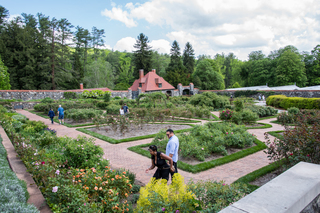 Filename=DSC_1497.jpg
Filesize=26414KiB
Dimensions=6799x4538
Date added=Sep 20, 2019 DSC_1497.jpg