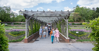 Filename=DSC_1498.jpg
Filesize=21952KiB
Dimensions=7239x3734
Date added=Sep 20, 2019 DSC_1498.jpg