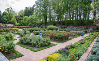 Filename=DSC_1499.jpg
Filesize=37207KiB
Dimensions=7359x4552
Date added=Sep 20, 2019 DSC_1499.jpg