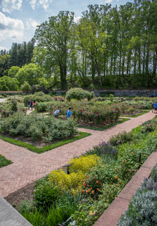 Filename=DSC_1500.jpg
Filesize=33138KiB
Dimensions=4754x6803
Date added=Sep 20, 2019 DSC_1500.jpg