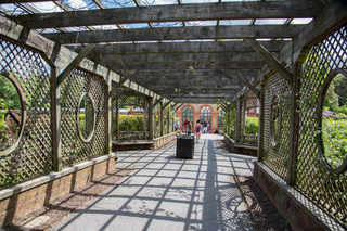 Filename=DSC_1505.jpg
Filesize=29612KiB
Dimensions=7360x4912
Date added=Sep 20, 2019 DSC_1505.jpg