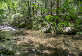 Filename=DSC_1917.jpg
Filesize=31764KiB
Dimensions=7202x4912
Date added=Sep 20, 2019 DSC_1917.jpg