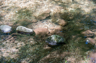 Filename=DSC_1918.jpg
Filesize=28253KiB
Dimensions=7360x4912
Date added=Sep 20, 2019 DSC_1918.jpg