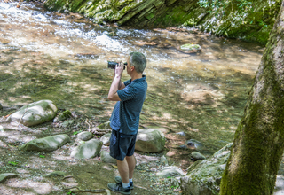 Filename=DSC_1919.jpg
Filesize=19816KiB
Dimensions=6700x4616
Date added=Sep 20, 2019 DSC_1919.jpg