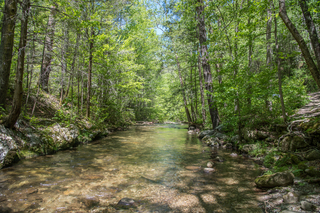 Filename=DSC_1920.jpg
Filesize=41172KiB
Dimensions=7360x4912
Date added=Sep 20, 2019 DSC_1920.jpg