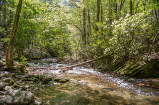 Filename=DSC_1923.jpg
Filesize=34235KiB
Dimensions=7360x4912
Date added=Sep 20, 2019 DSC_1923.jpg