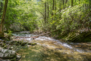 Filename=DSC_1924.jpg
Filesize=39610KiB
Dimensions=7360x4912
Date added=Sep 20, 2019 DSC_1924.jpg