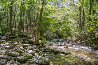 Filename=DSC_1925.jpg
Filesize=39908KiB
Dimensions=7360x4912
Date added=Sep 20, 2019 DSC_1925.jpg