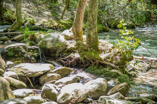 Filename=DSC_1928.jpg
Filesize=29623KiB
Dimensions=7360x4912
Date added=Sep 20, 2019 DSC_1928.jpg