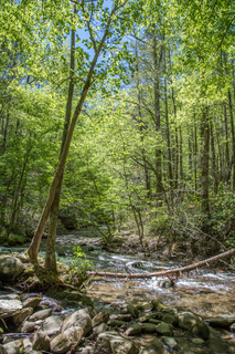 Filename=DSC_1932.jpg
Filesize=45929KiB
Dimensions=4912x7360
Date added=Sep 20, 2019 DSC_1932.jpg