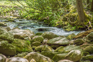 Filename=DSC_1933.jpg
Filesize=32108KiB
Dimensions=7360x4912
Date added=Sep 20, 2019 DSC_1933.jpg