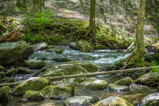 Filename=DSC_1934.jpg
Filesize=29745KiB
Dimensions=7360x4912
Date added=Sep 20, 2019 DSC_1934.jpg