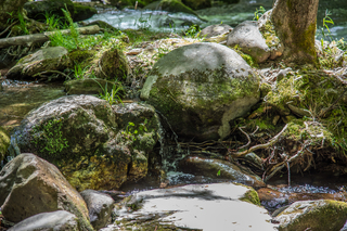 Filename=DSC_1935.jpg
Filesize=29175KiB
Dimensions=7360x4912
Date added=Sep 20, 2019 DSC_1935.jpg