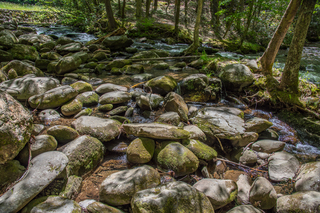 Filename=DSC_1936.jpg
Filesize=37121KiB
Dimensions=7360x4912
Date added=Sep 20, 2019 DSC_1936.jpg