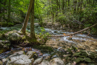 Filename=DSC_1938.jpg
Filesize=39704KiB
Dimensions=7360x4912
Date added=Sep 20, 2019 DSC_1938.jpg