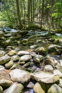 Filename=DSC_1940.jpg
Filesize=31830KiB
Dimensions=4912x7360
Date added=Sep 20, 2019 DSC_1940.jpg