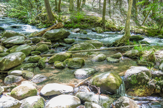 Filename=DSC_1942.jpg
Filesize=31868KiB
Dimensions=7360x4912
Date added=Sep 20, 2019 DSC_1942.jpg